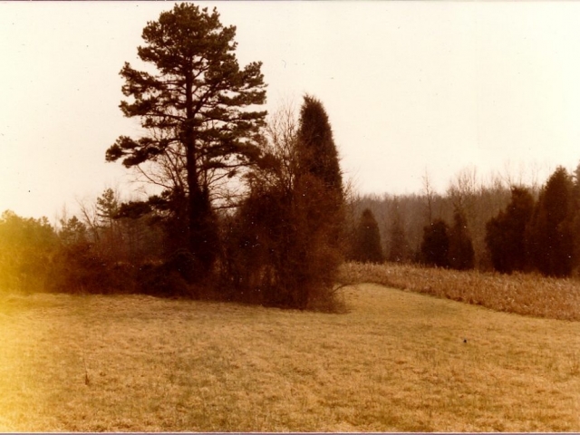 Harper cemetery